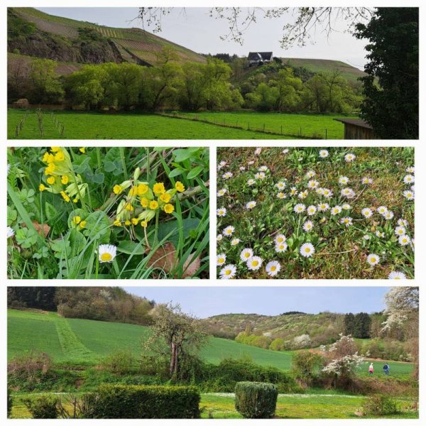 Campingplatz Nahetal — Photo 6