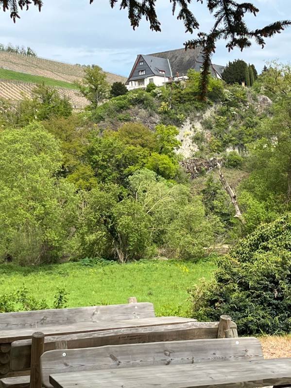 Campingplatz Nahetal — Fotoğraf 2