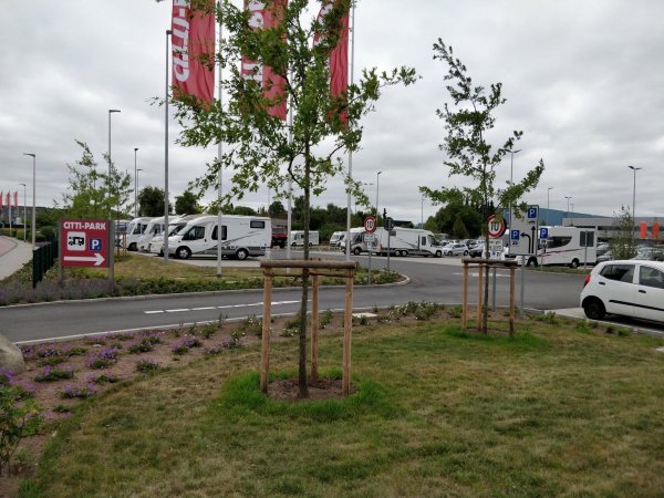 Citti Markt Flensburg — Photo 2