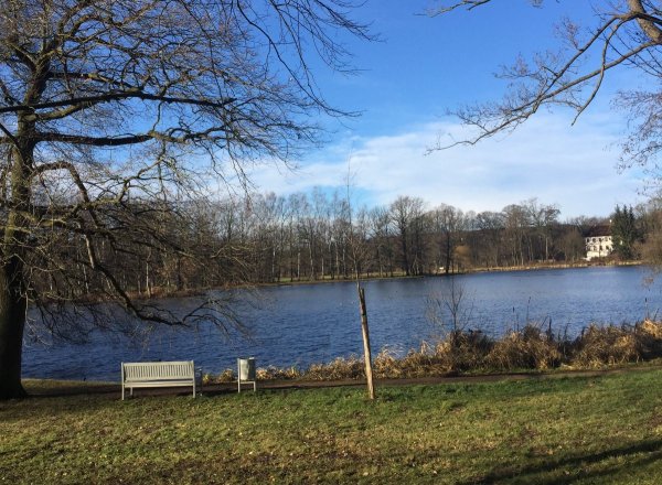 Grünfelder Park — Foto 2