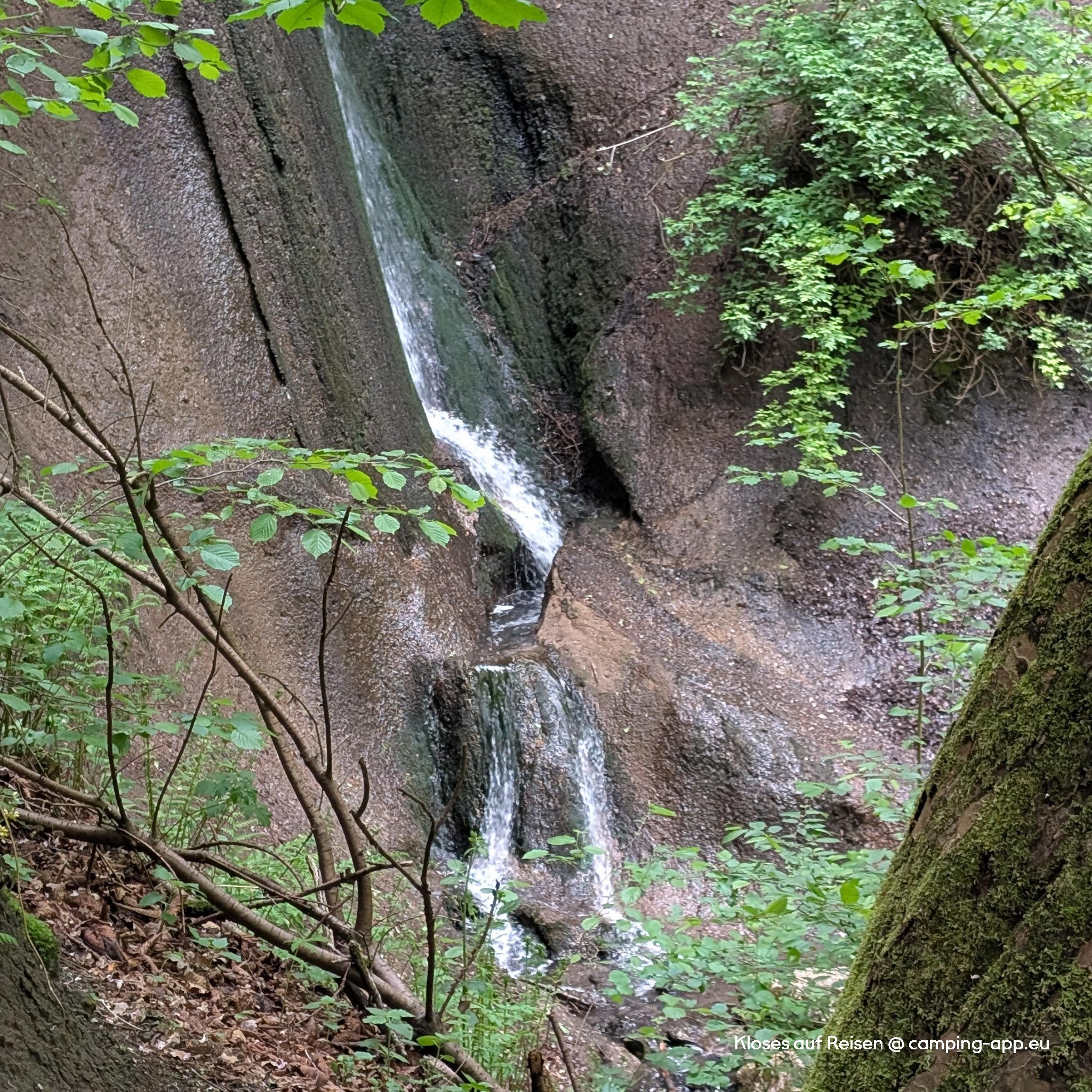 RCN Camping Laacher See — Fotoğraf 2