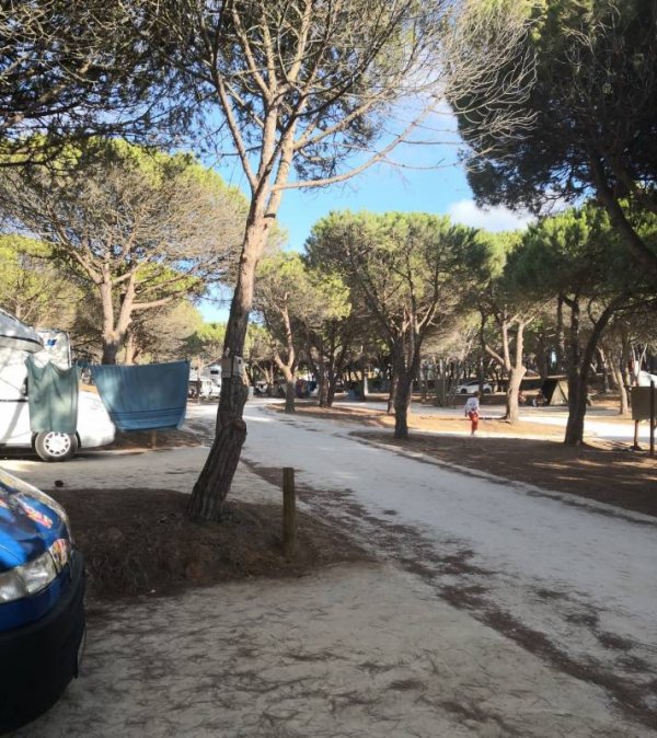 Ericeira Camping — Photo 2