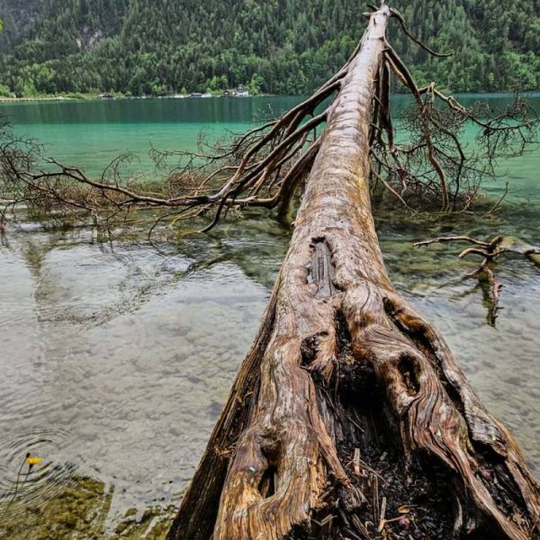 Camping Ronacher — Photo 6