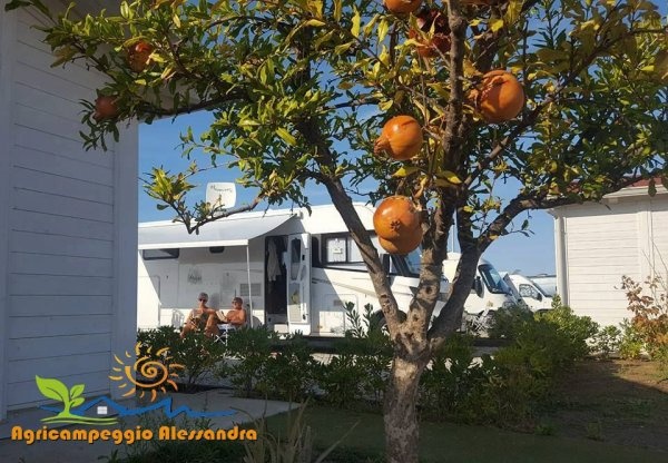 Agricampeggio Alessandra — Kemping in Torrenova
