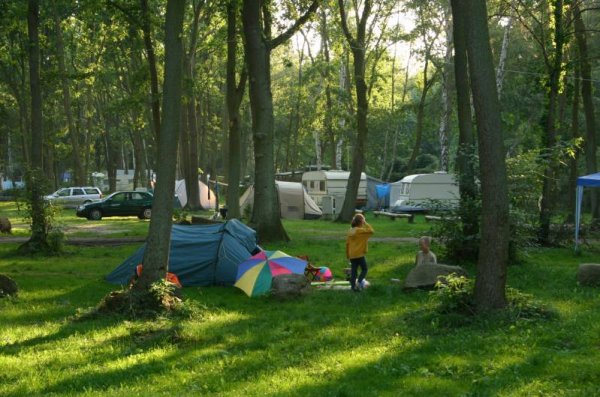 Naturcampingplatz Bolter Kanal — Photo 2