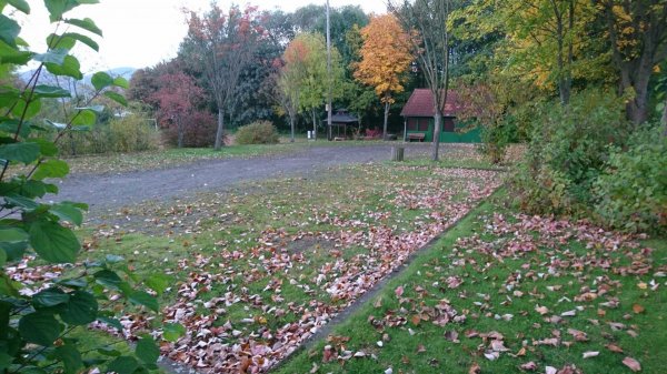 Stellplatz am Schwimmbad Ehlen — Photo 2