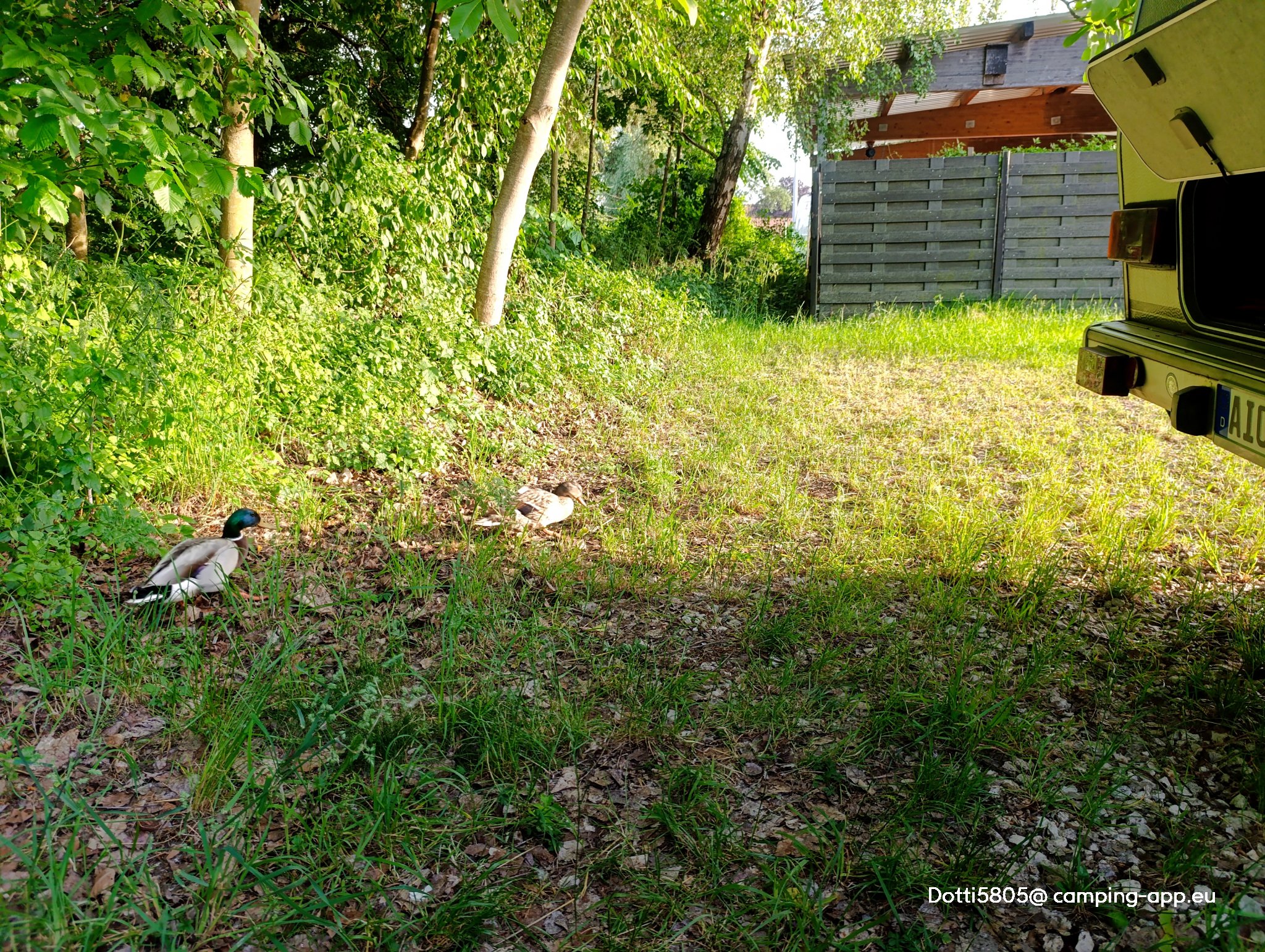 Stellplatz Schlösslwiese Neuburg an der Donau — Foto 4