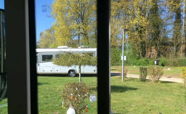 WoMoPark Neukloster See — Photo 3