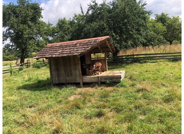 Campingplatz Ferienhof Kramer Oberteuringen — Photo 3
