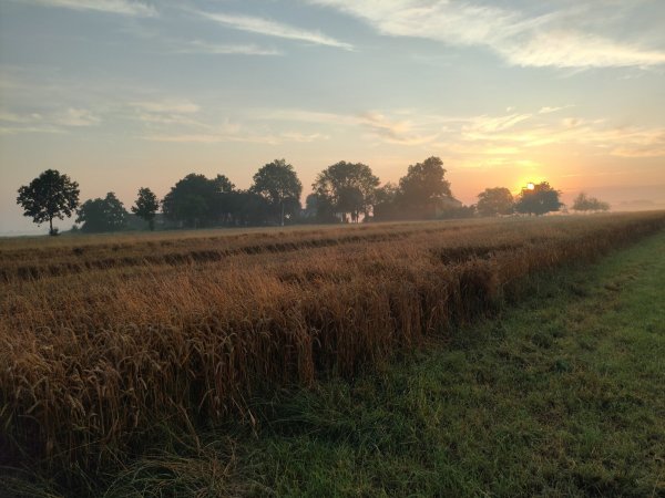 Stellplatz Hodorf — Photo 4