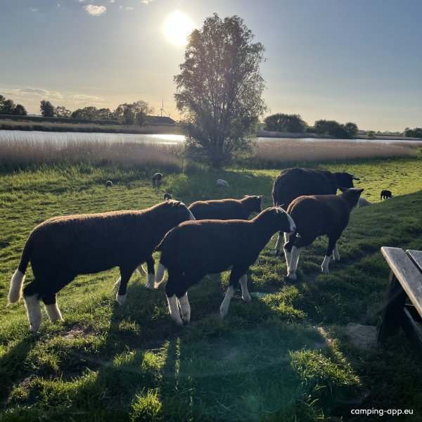 Stellplatz Hodorf — Foto 4