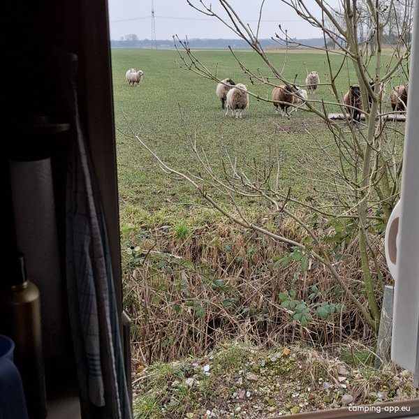 Stellplatz Hodorf — Foto 6