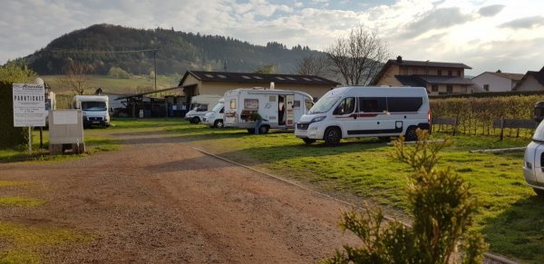 Stellplatz Mosella Ernst — Photo 3