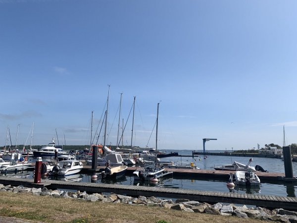 Stellplatz Barhöft Klausdorf — Photo 4