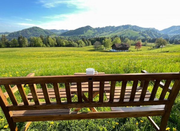 Hochgratblick Oberstaufen - Steibis — Photo 5