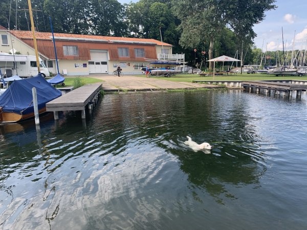Stellplatz beim Seglerverein Röbel/Müritz — Stellplatz in Röbel/Müritz