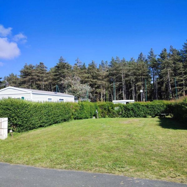 Camping Le Bois de Pins — Photo 5