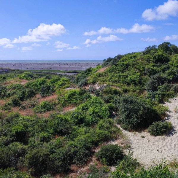 Camping Le Bois de Pins — Photo 6