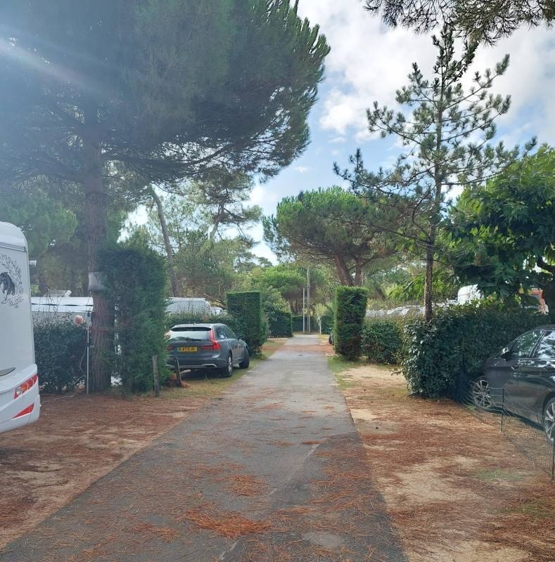 Camping Bois Soleil — Campingplads in Saint-Georges-de-Didonne / Nouvelle-Aquitaine