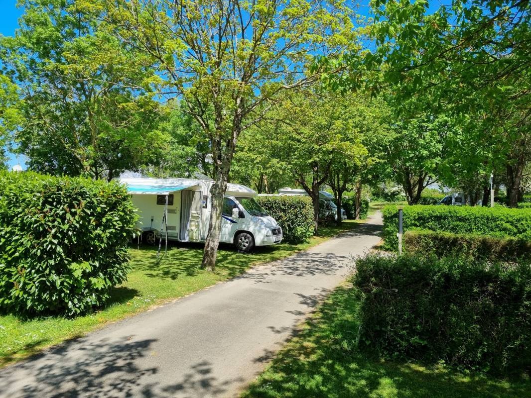 Flower Camping L'Abri-Côtier — Camping Site in Saint-Nazaire-sur-Charente / Nouvelle-Aquitaine