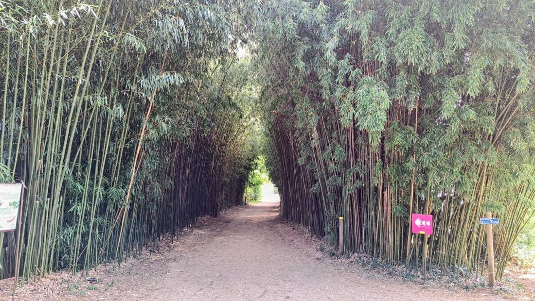 Camping Le Paradis ***** — Kemp in Saint-Léon-sur-Vézère / Nouvelle-Aquitaine