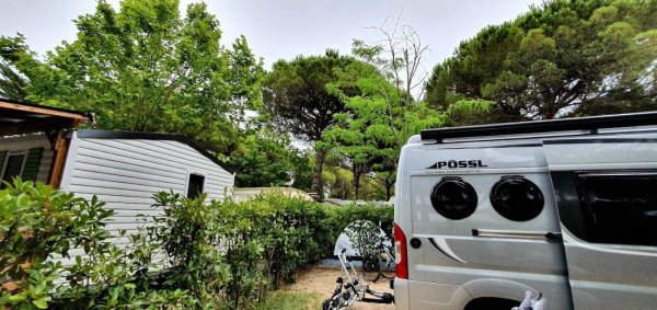 Camping **** The Garden — Photo 2