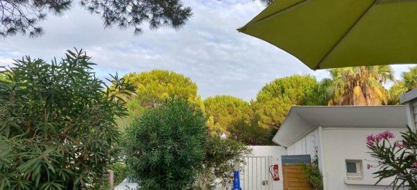Camping **** The Garden — Photo 3
