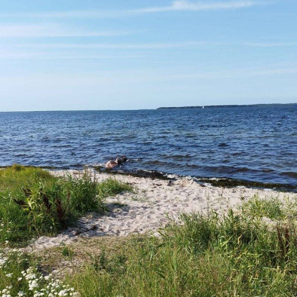 Stellplatz Boiensdorf am Strand — Foto 6