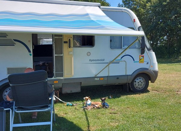 Stellplatz Boiensdorf am Strand — Photo 4