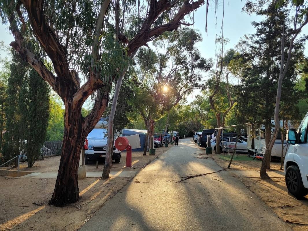 Camping la Presqu'île de Giens — Kamp yeri in Hyères