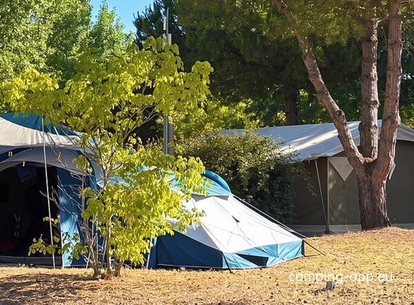 Camping Plage des Tonnelles ****