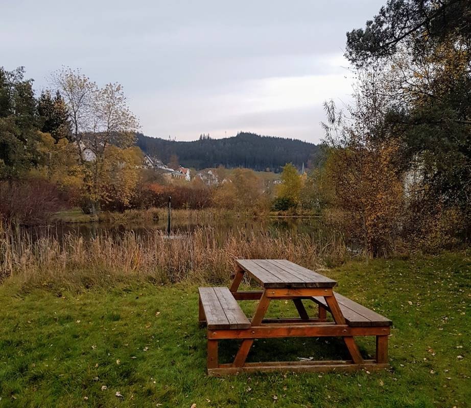 Stellplatz Vöhrenbach — 露营车营地 in Vöhrenbach-Angelsbach