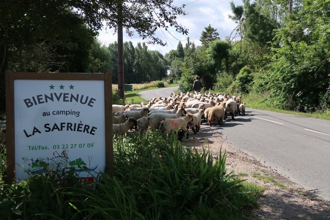 Camping LA SAFRIERE — Sítio de acampamento in Ponthoile