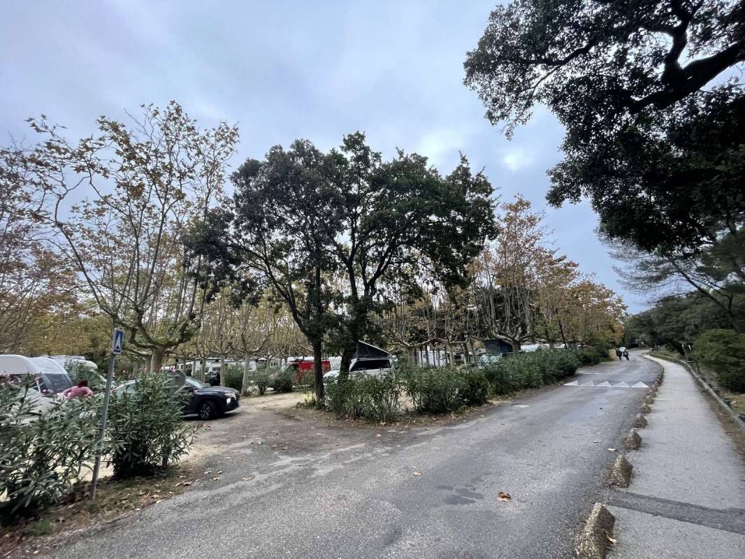 Camping Camp Du Domaine ***** — Camping Site in Bormes-les-Mimosas / Provence-Alpes-Côte d'Azur