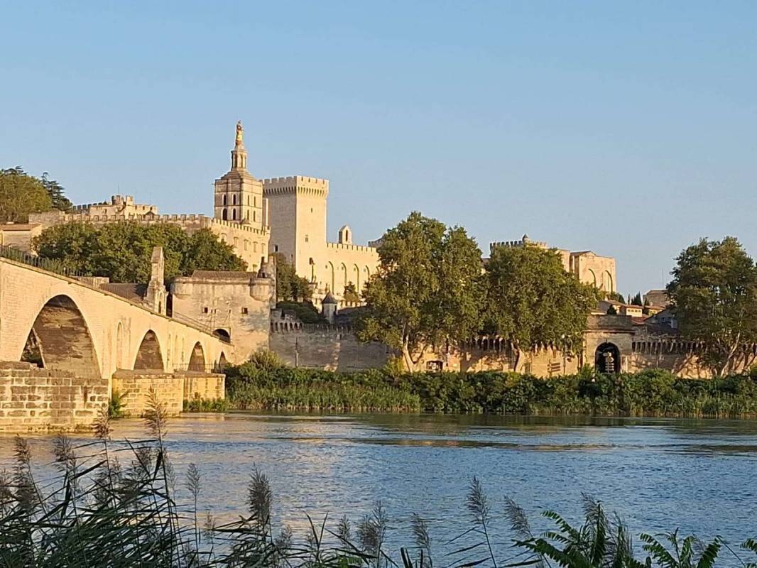 Camping du Pont d'Avignon **** - Aquadis Entertainment — Camping Site in Avignon 