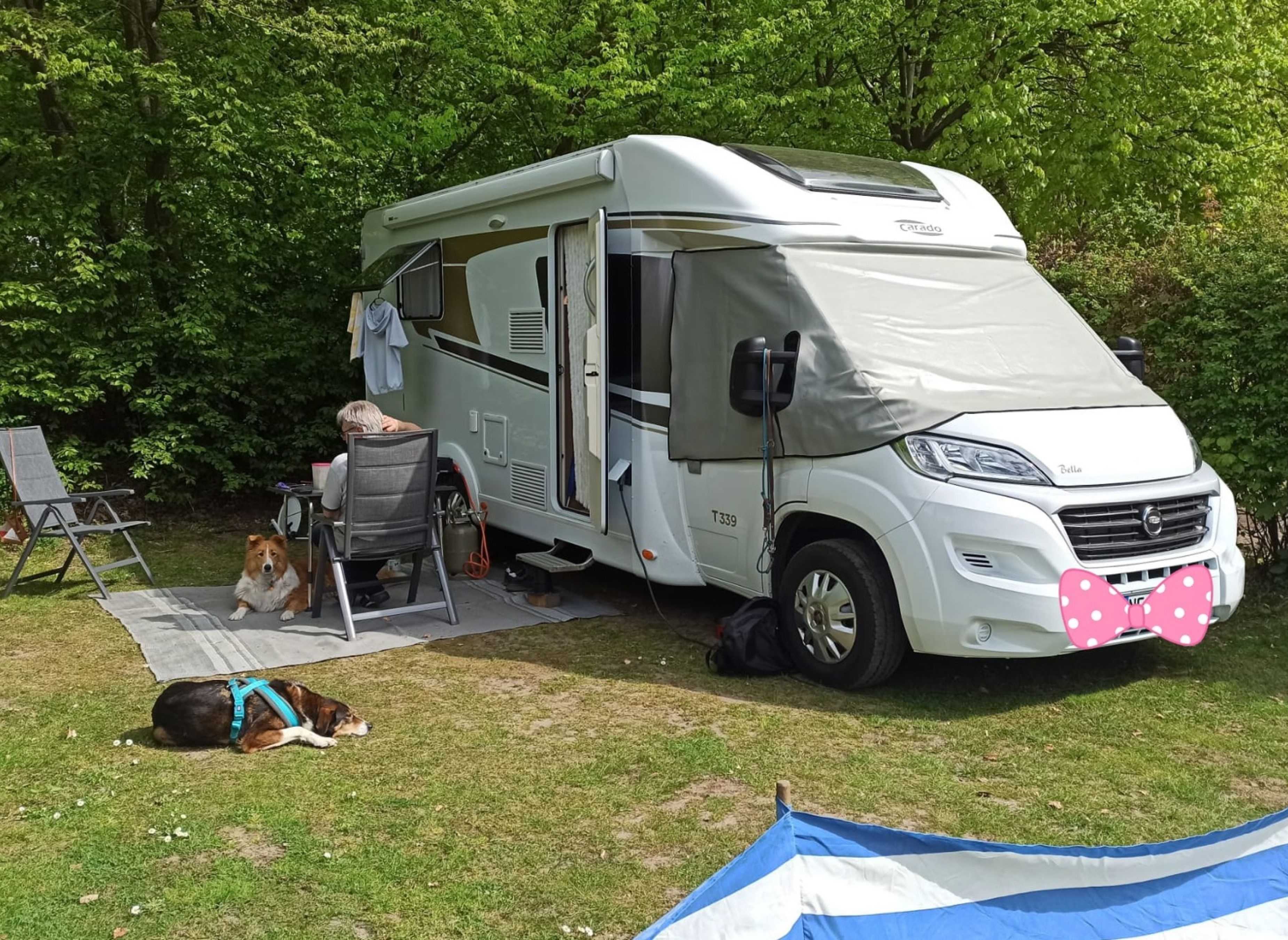 Naturcampingplatz Wrohe am Westensee — Campingplads in Westensee