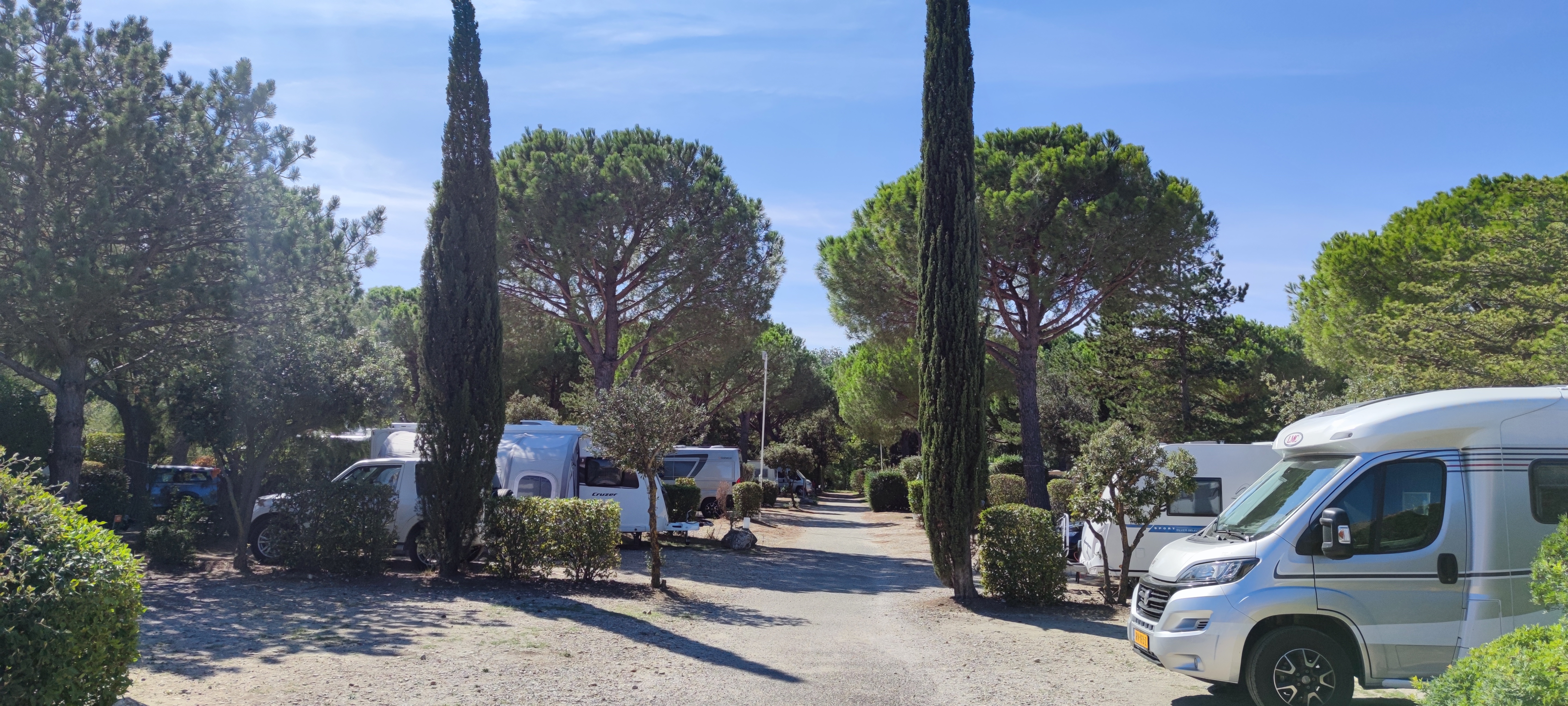 Camping L'Ile Des Papes — Campingplats in Villeneuve-lès-Avignon / Occitanie