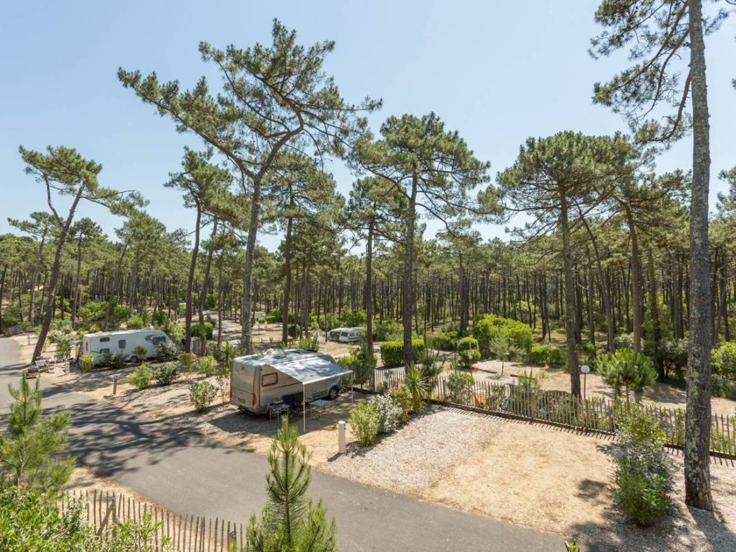 Camping Yelloh! Village Les Grands Pins ***** — Kemp in Lacanau / Nouvelle-Aquitaine