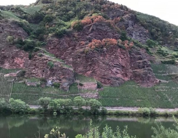 Campingplatz Erden — Photo 6