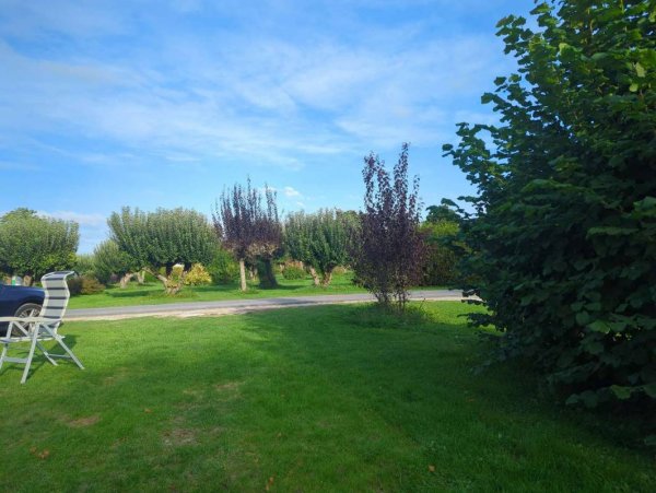 Caravan of 4 Winds — Photo 4