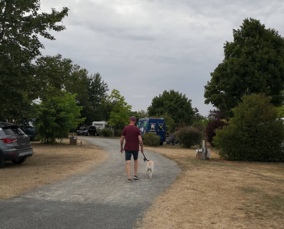 Camping du futur *** — Kamp yeri in Avanton / Nouvelle-Aquitaine