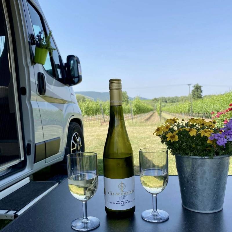 Weingut Fitz-Schneider Edenkoben — Weingut in Edenkoben