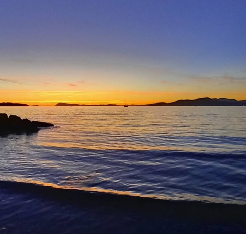 Le Camp International **** — Camping Site in Hyères / Provence-Alpes-Côte d'Azur