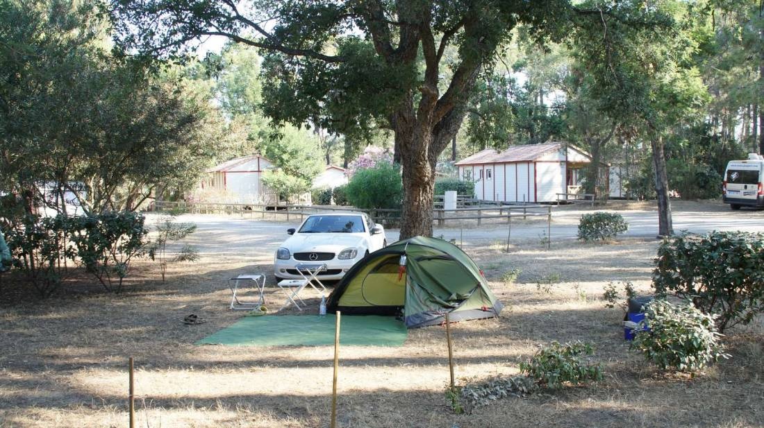 Camping & Résidence Les Castors — Sítio de acampamento in Calvi / Corse