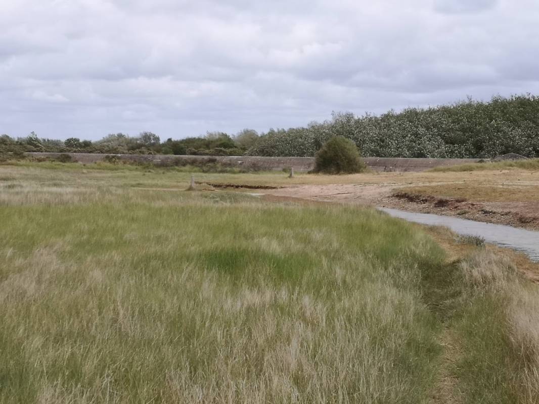 Camping Clairette ** — Kemp in Oye-Plage