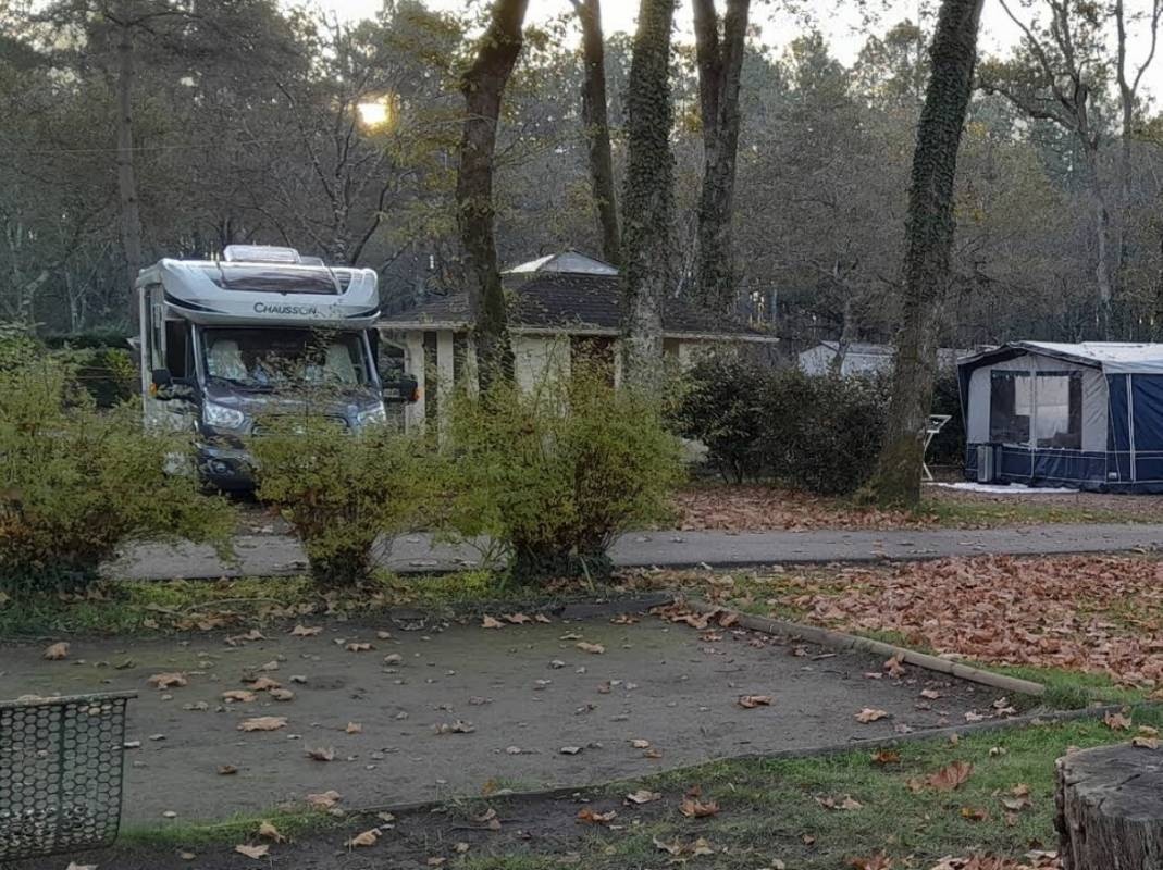 Camping l'étang d'Ardy — Kemp in Saint-Paul-lès-Dax / Nouvelle-Aquitaine