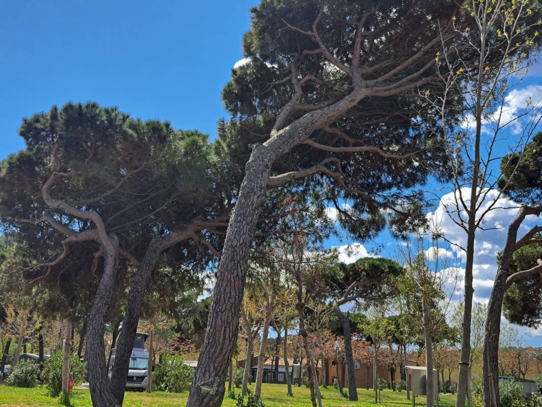 Camping St. Aygulf Beach — Kamp yeri in Fréjus