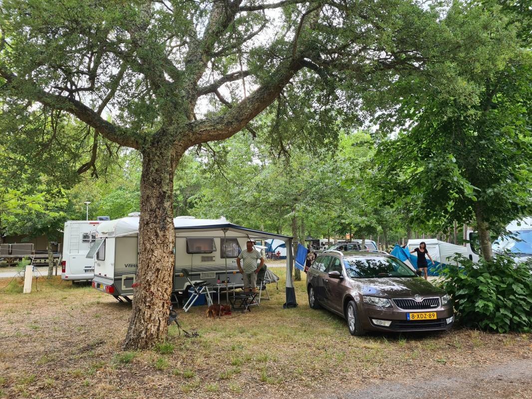 Camping Du Lac — Campingplads in Mimizan / Nouvelle-Aquitaine