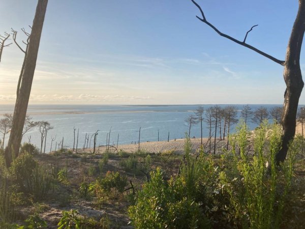 Camping Panorama du Pyla **** — Photo 5