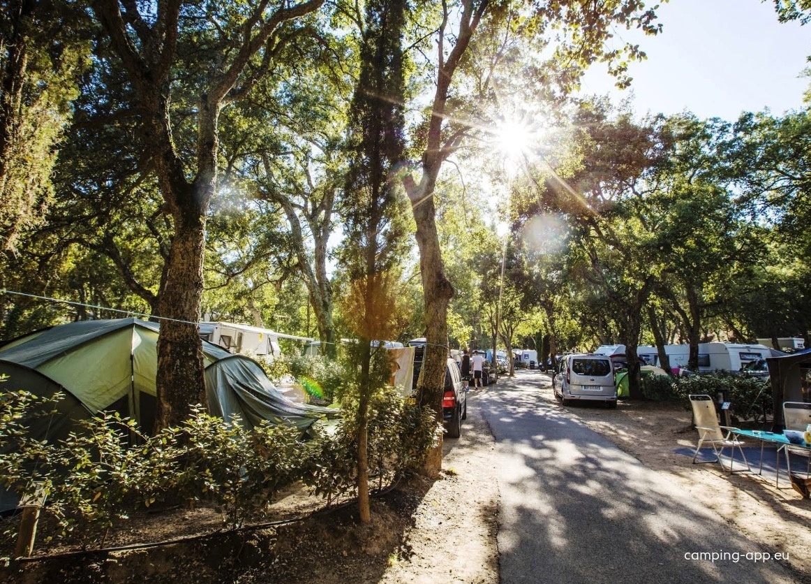 Domaine de la Bergerie ***** — Camping Site in Roquebrune-sur-Argens